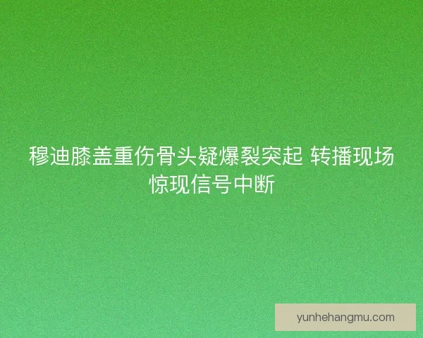 穆迪膝盖重伤骨头疑爆裂突起 转播现场惊现信号中断