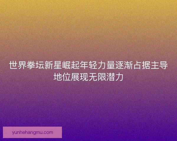 世界拳坛新星崛起年轻力量逐渐占据主导地位展现无限潜力