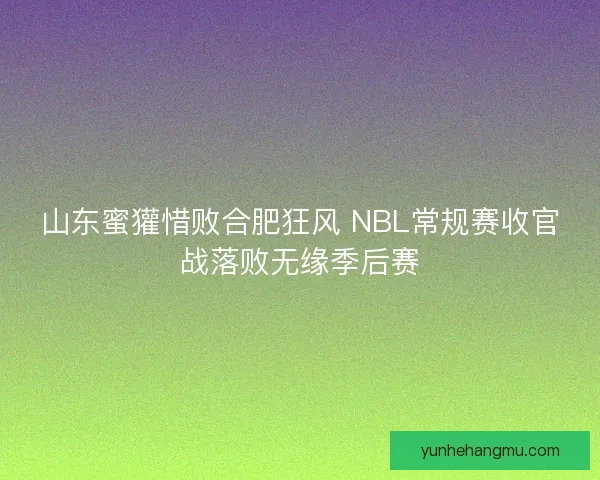山东蜜獾惜败合肥狂风 NBL常规赛收官战落败无缘季后赛